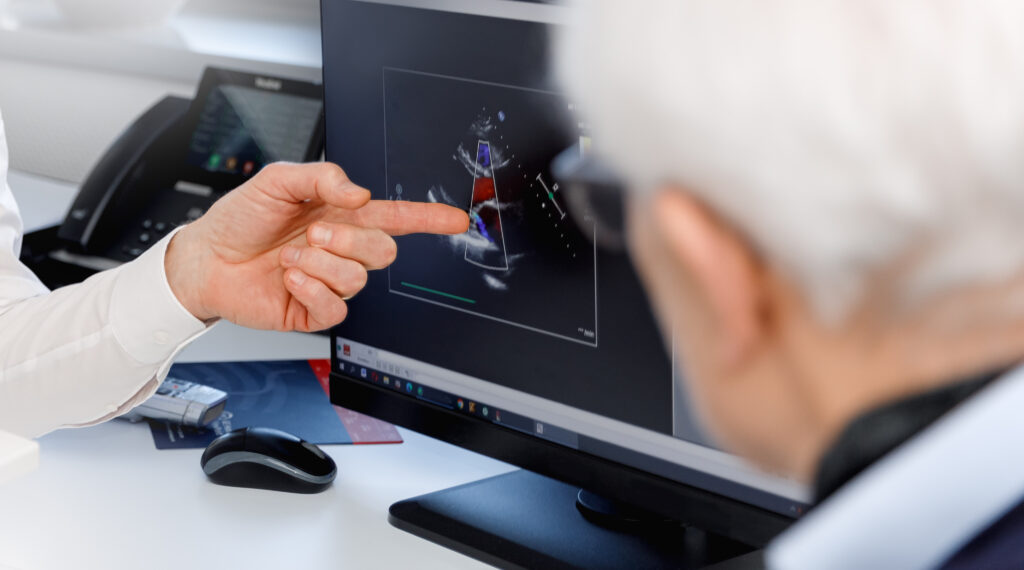 cardiological consultation treatment heart diseases medical concept LIV Hospital