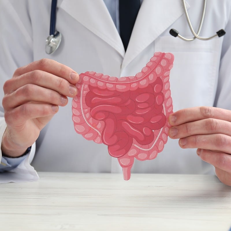 doctor showing paper intestine cutout white wooden table clinic closeup yt profile photo 800 800 LIV Hospital