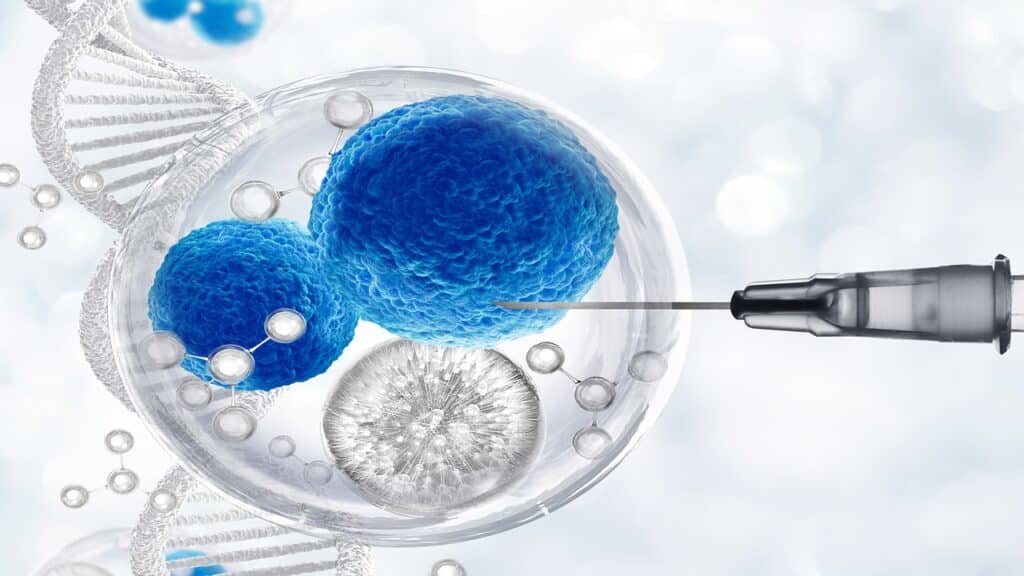 Harry Styles Stem Cell