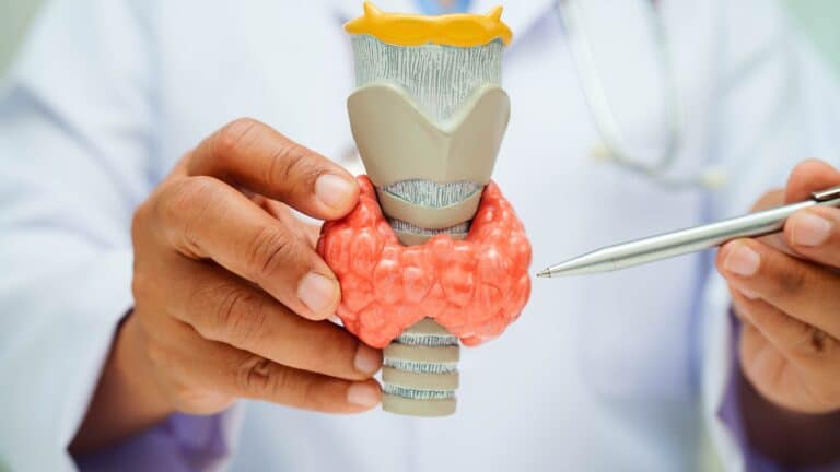hyperthyroidism overactive thyroid thyroid lymphoma asian doctor with thyroid gland human anatomy model hospital yt thumbnail 1280 720 LIV Hospital