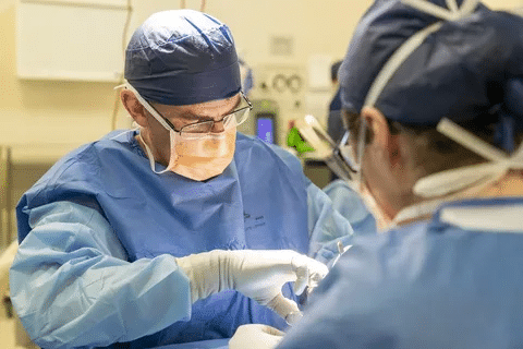 word image 263087 2 LIV Hospital