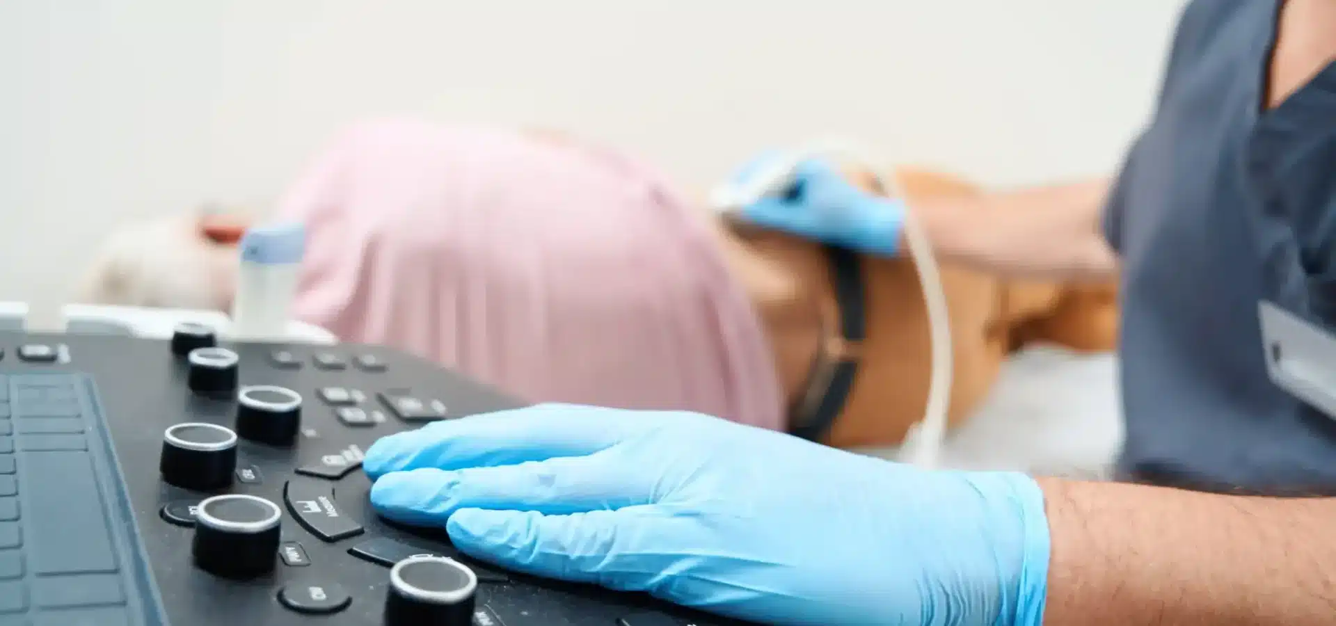 shutterstock_2383880189