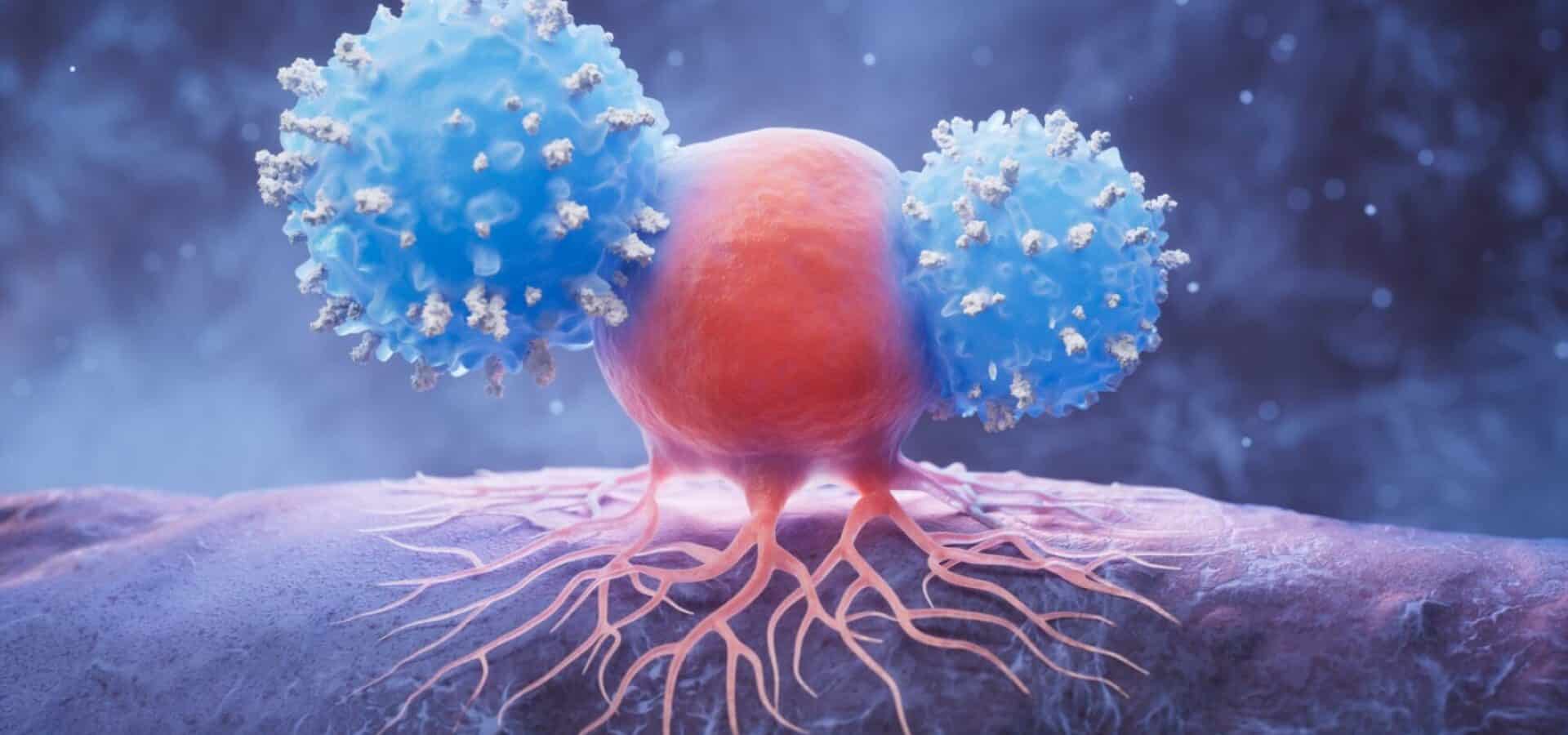 shutterstock_2480344577